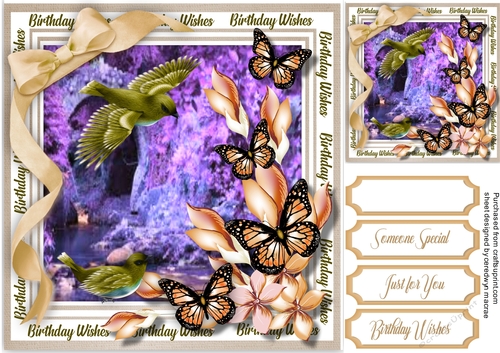 Butterflys and Birhday Wishes 1