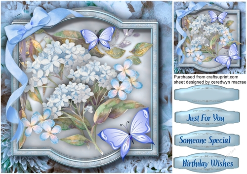 Blue Rhapsody and Butterflys 