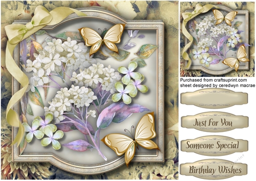 Buff  Rhapsody and Butterflys 