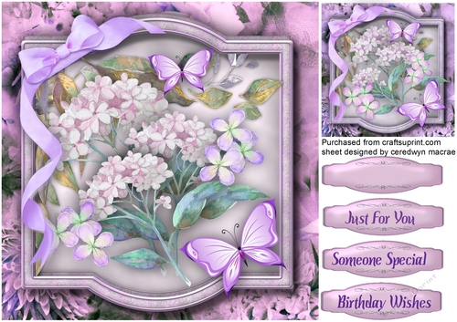 Lilac  Rhapsody and Butterflys 