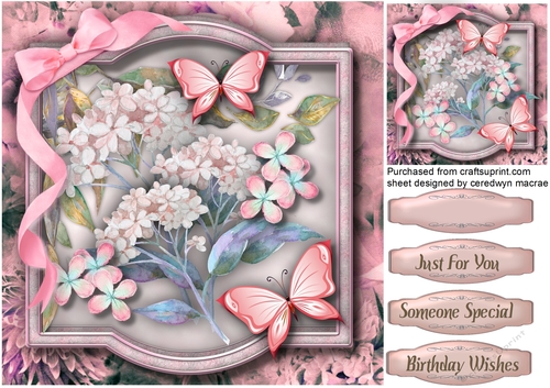 Pink Rhapsody and Butterflys 