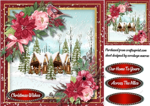 Beautiful Christmas Cheer 
