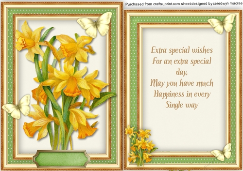 Daffodils and Butterflies With Verse