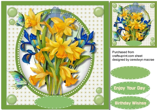 Beautifl Iris and Daffs