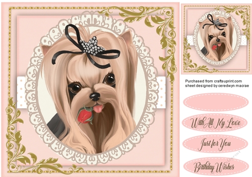 Beautiful Yorkie in a Oval Frame 