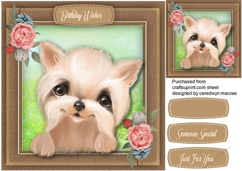 Beautiful Yorkie With Roses