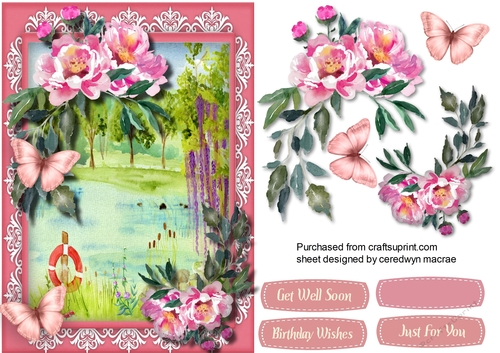 Summer Scene and Roses 2