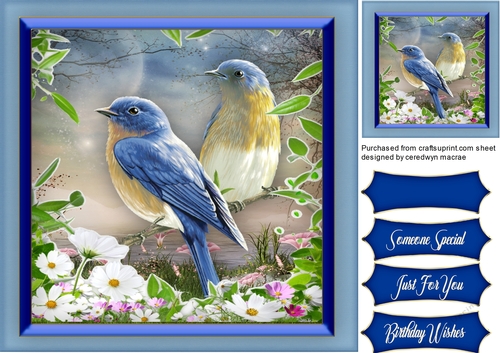 Beautiful Blue Birds and Blossom