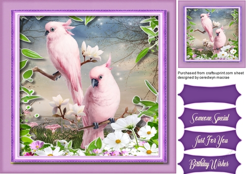 Beautiful Parrots and Blossom