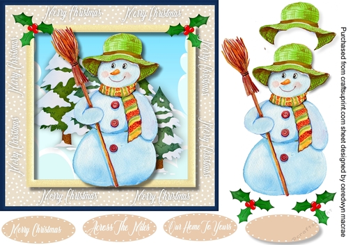  Snowman in a Green Hat