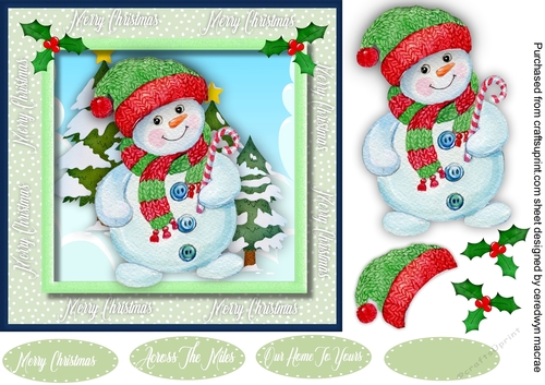 Cheeky Little Snowman Snowman