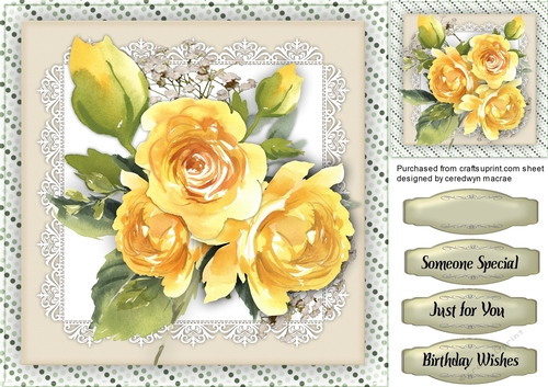 Yellow Balm Roses 