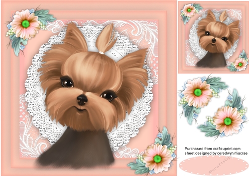 Yorkie in a Lace Frame 2