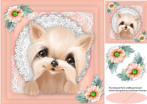 Yorkie in a Lace Frame 3