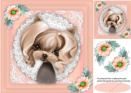 Yorkie in a Lace Frame 4