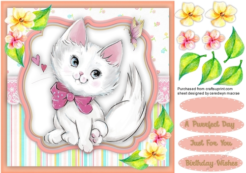 Kittie in her Pink Bow