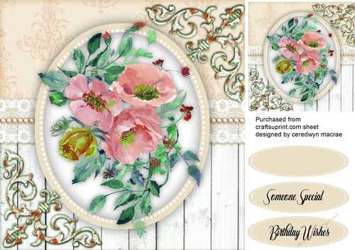 Beautiful Blush Wild Roses
