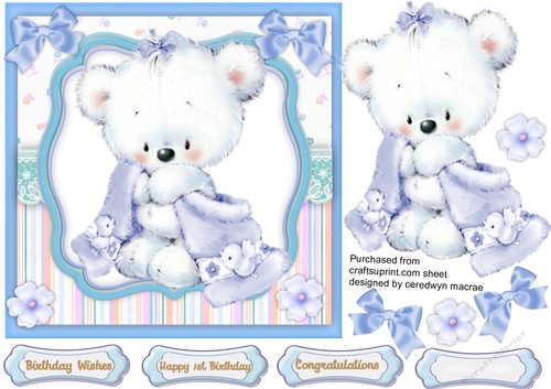 Blue Baby Bear with his Blanket