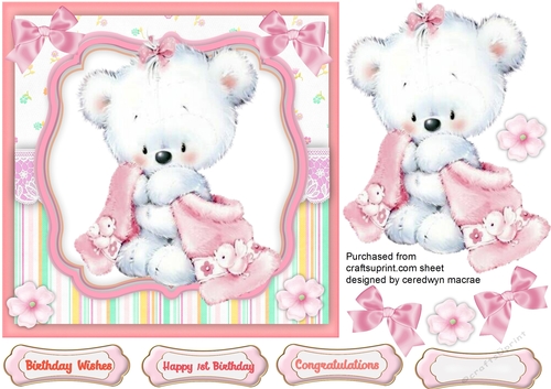 Pink Baby Bear with his Blanket