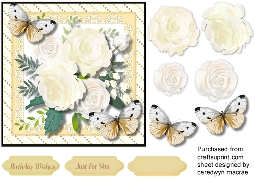 Butterflys and Fragrant Roses