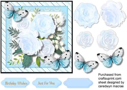 Butterflys and Blue Fragrant Roses