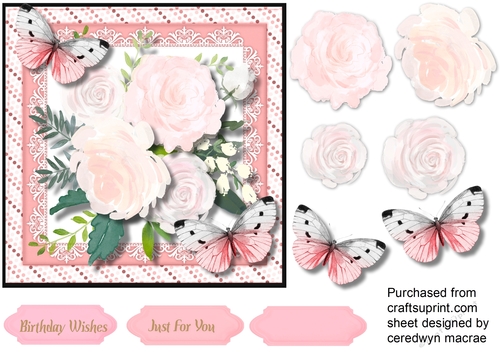 Butterflys and PinkFragrant Roses