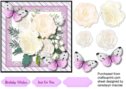 Butterflys and Lilac Fragrant Roses