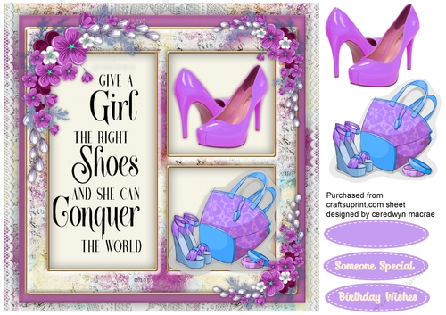 Give a Girl The Right Shoes  1