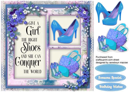 Give a Girl The Right Shoes  2