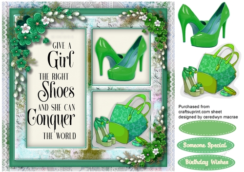 Give a Girl The Right Shoes  3