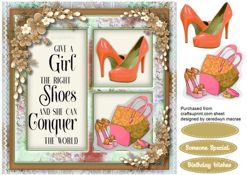 Give a Girl The Right Shoes  4