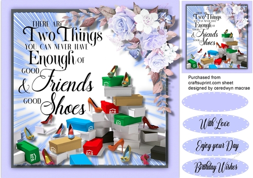 Good Friends and Good Shoes 2