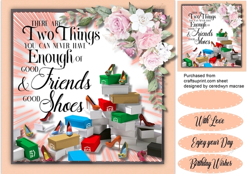 Good Friends and Good Shoes 4