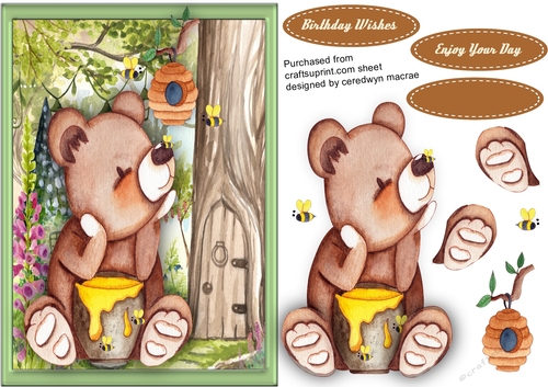 Honey Bear in 4 Acre Forest 