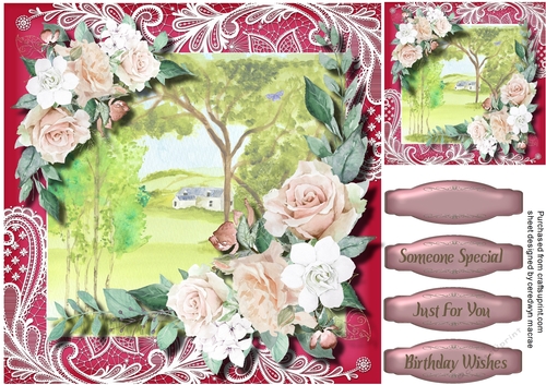 Beautiful French Roses 2
