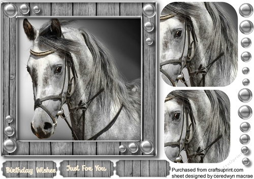 Beautiful Horse in Mono , Pyramid