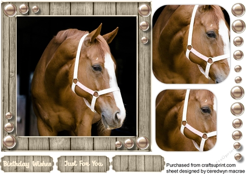Horse in a Bridle  , Pyramid