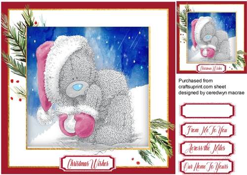 Teddies Snowball Fight