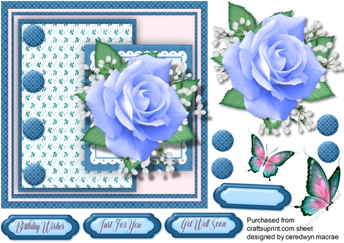 Beautiful Blue Rose 