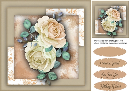 Stunning Cream French Roses
