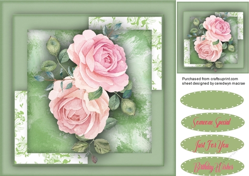 Stunning French Roses
