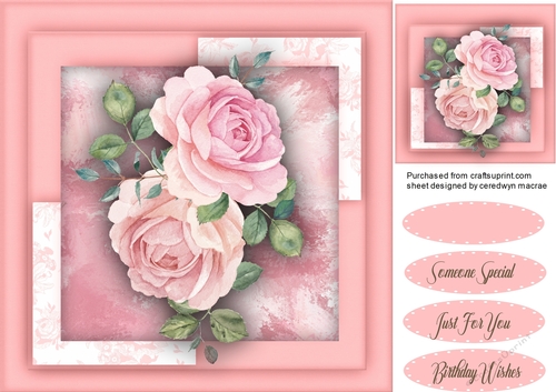 Stunning Pink French Roses