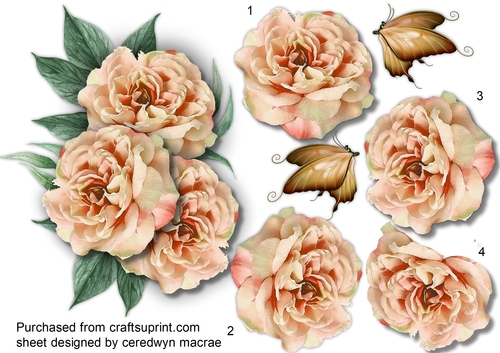 Beautiful Peach  Cutout Roses