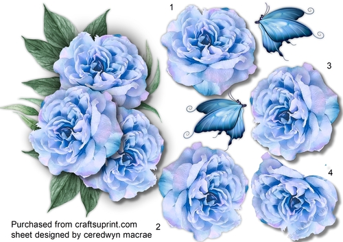 Beautiful Blue Cu tout Roses