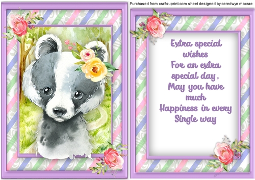 Gorgeous Badgers Birthday