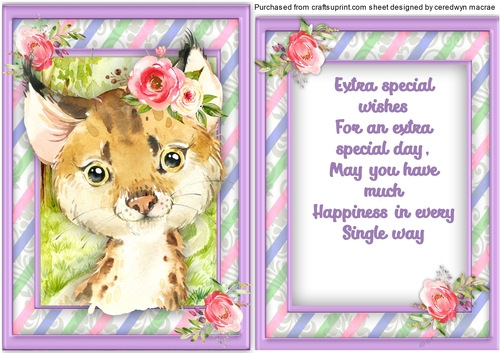 Gorgeous Bobcats Birthday