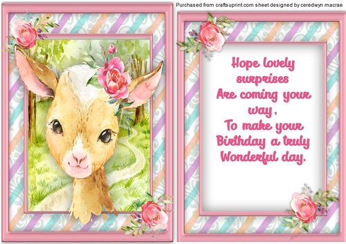 Gorgeous  Birthday Goat