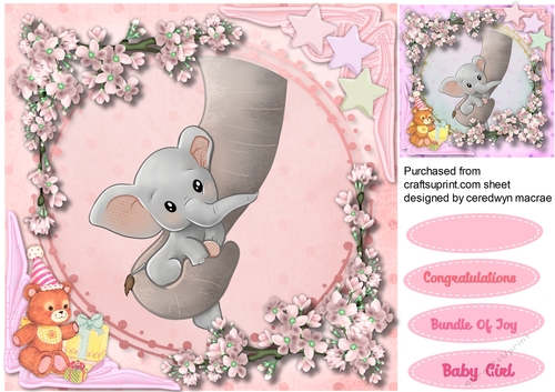 Baby Gir, Love on a Trunk 