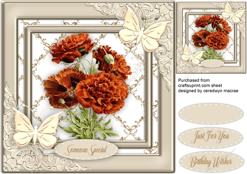 Lovely Flutters and Carnations
