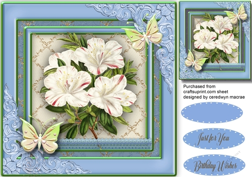 Lovely Flutters and White Flowers